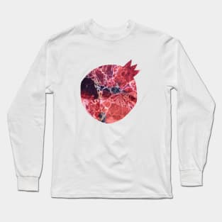 Pomemarble Long Sleeve T-Shirt